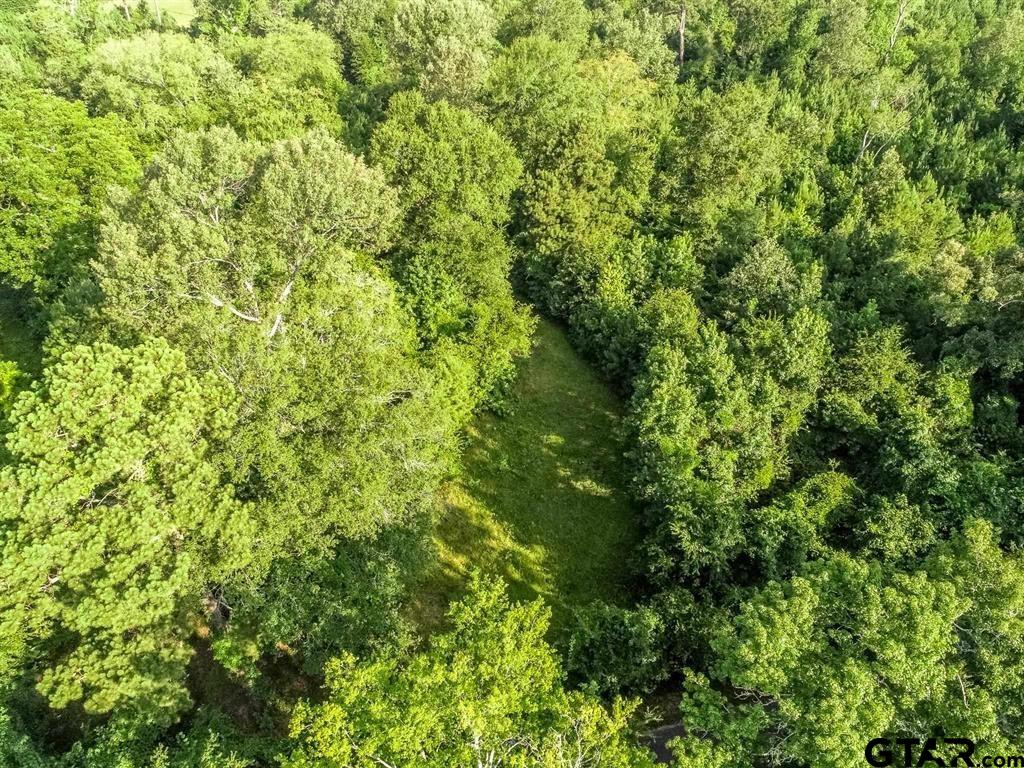 TBD HWY 259 & SEGO LILY RD