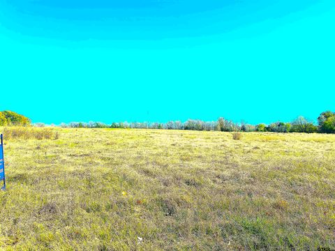 1176 W FM 515 Winnsboro TX 75494