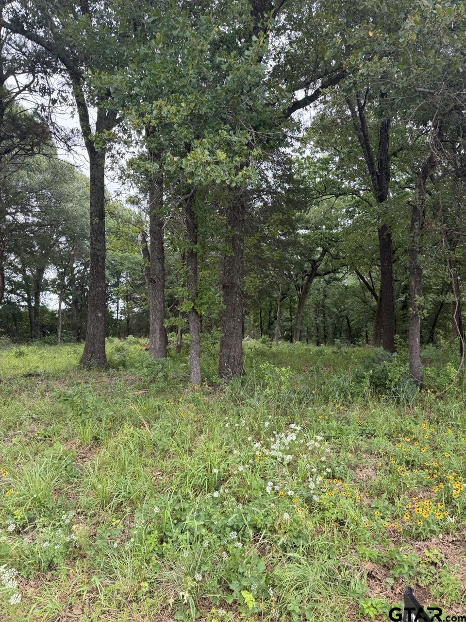 13676 County Road 420
