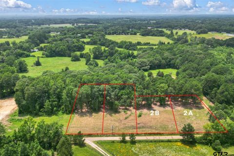 TBD CR 224 (Lot 2B) Arp TX 75750