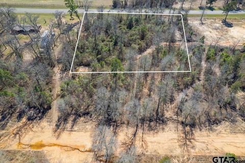 Lot 17 Hwy 11 Pittsburg TX 75686