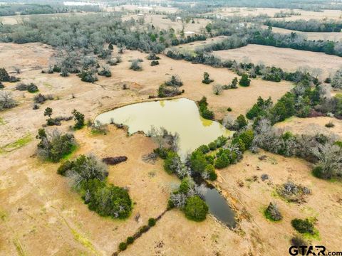 000 State HWY 110 ( TBD) Van TX 75790