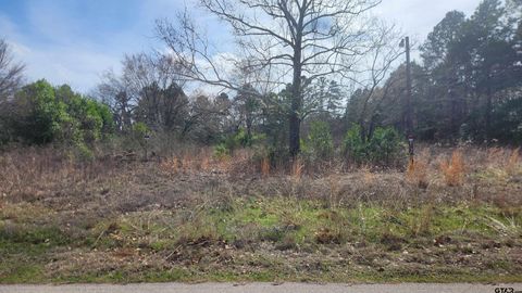 18194 CR 442 Lindale TX 75771