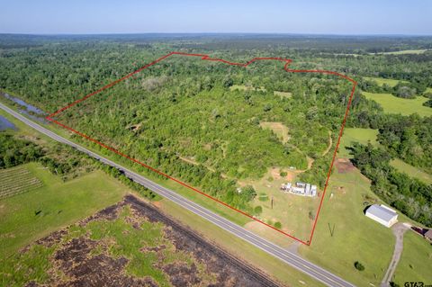 1111 TX- 21 Alto TX 75925