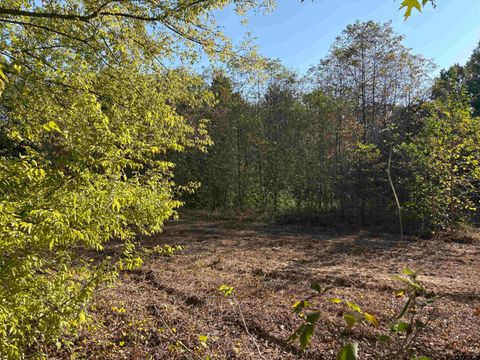 TBD FM 607 Brownsboro TX 75756