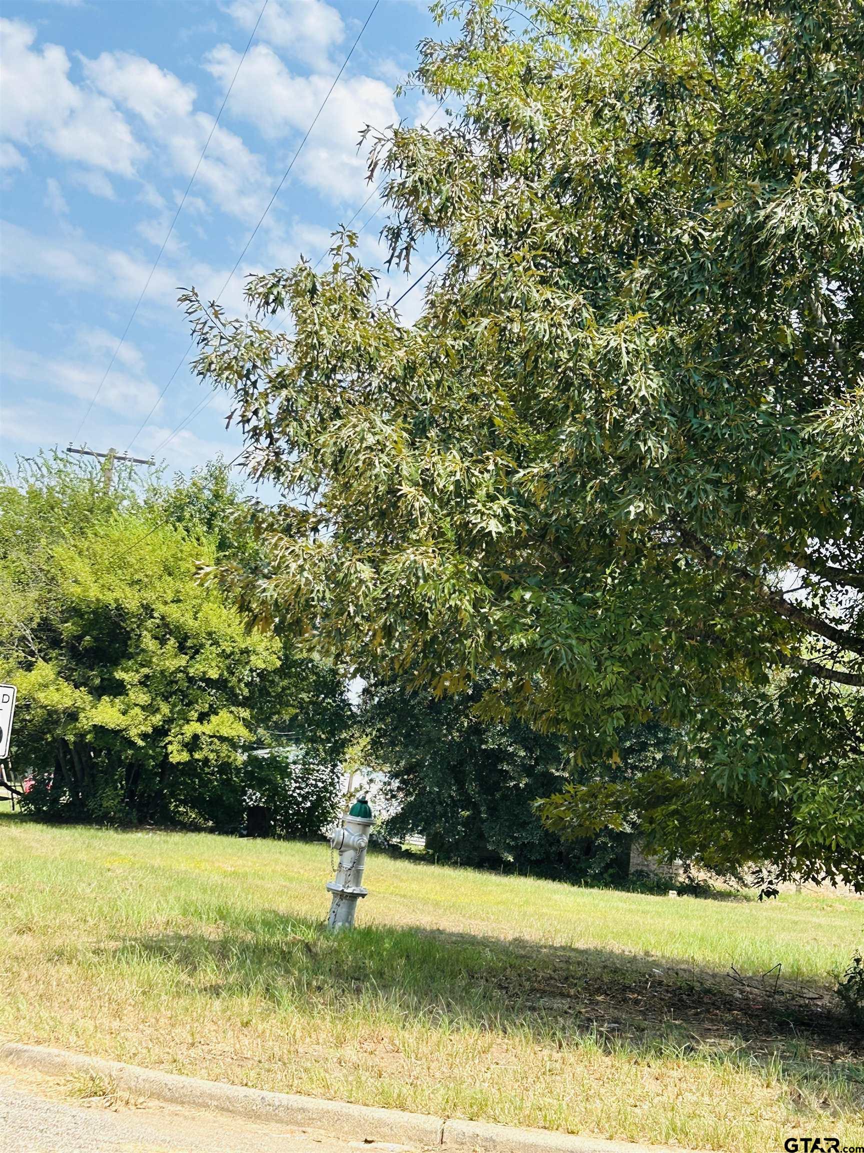 Troup, Texas 75789, United States, 3 Bedrooms Bedrooms, ,2 BathroomsBathrooms,Residential,Pending,46587