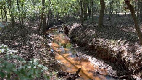 TBD-D CR 4172D Laneville TX 75667