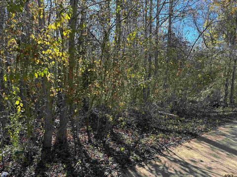 628 Balmorea Drive Bullard TX 75757