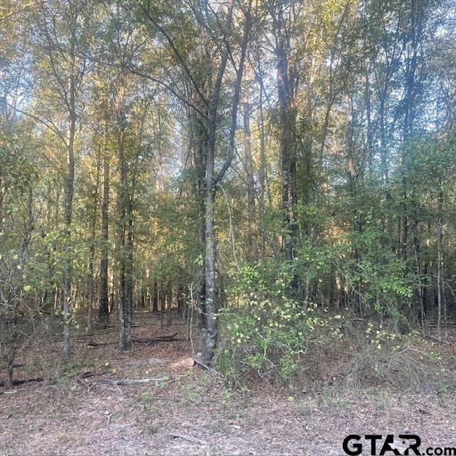 TBD County Road 2880