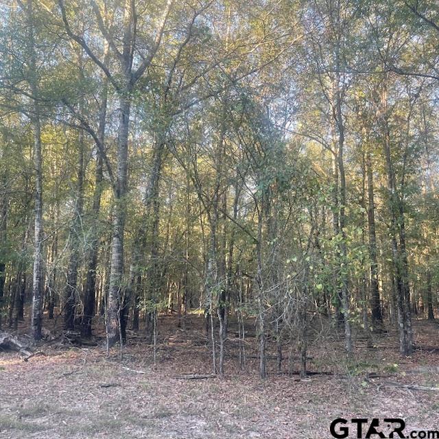 TBD County Road 2880