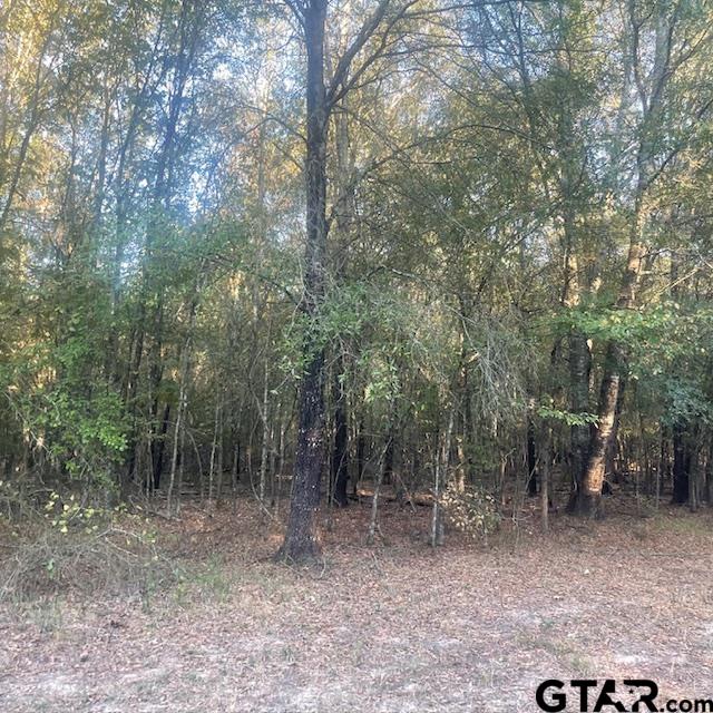 TBD County Road 2880