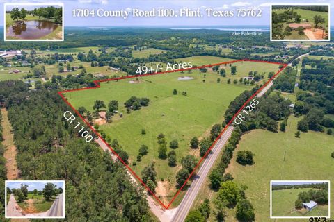 17104 County Road 1100 Flint TX 75762