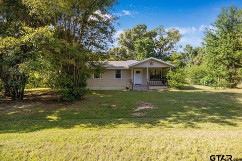 13418 CR 2290 Arp TX 75750