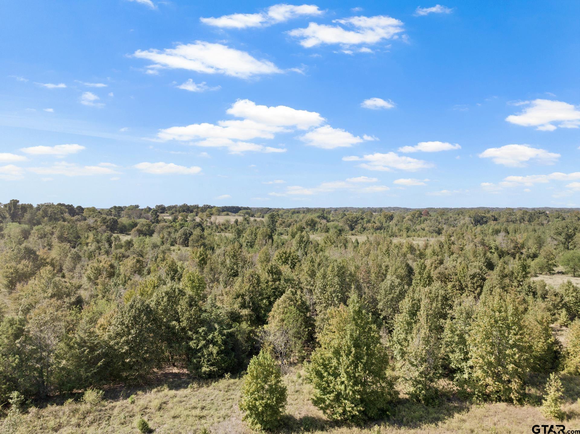 TRACT 1 County Road 4325