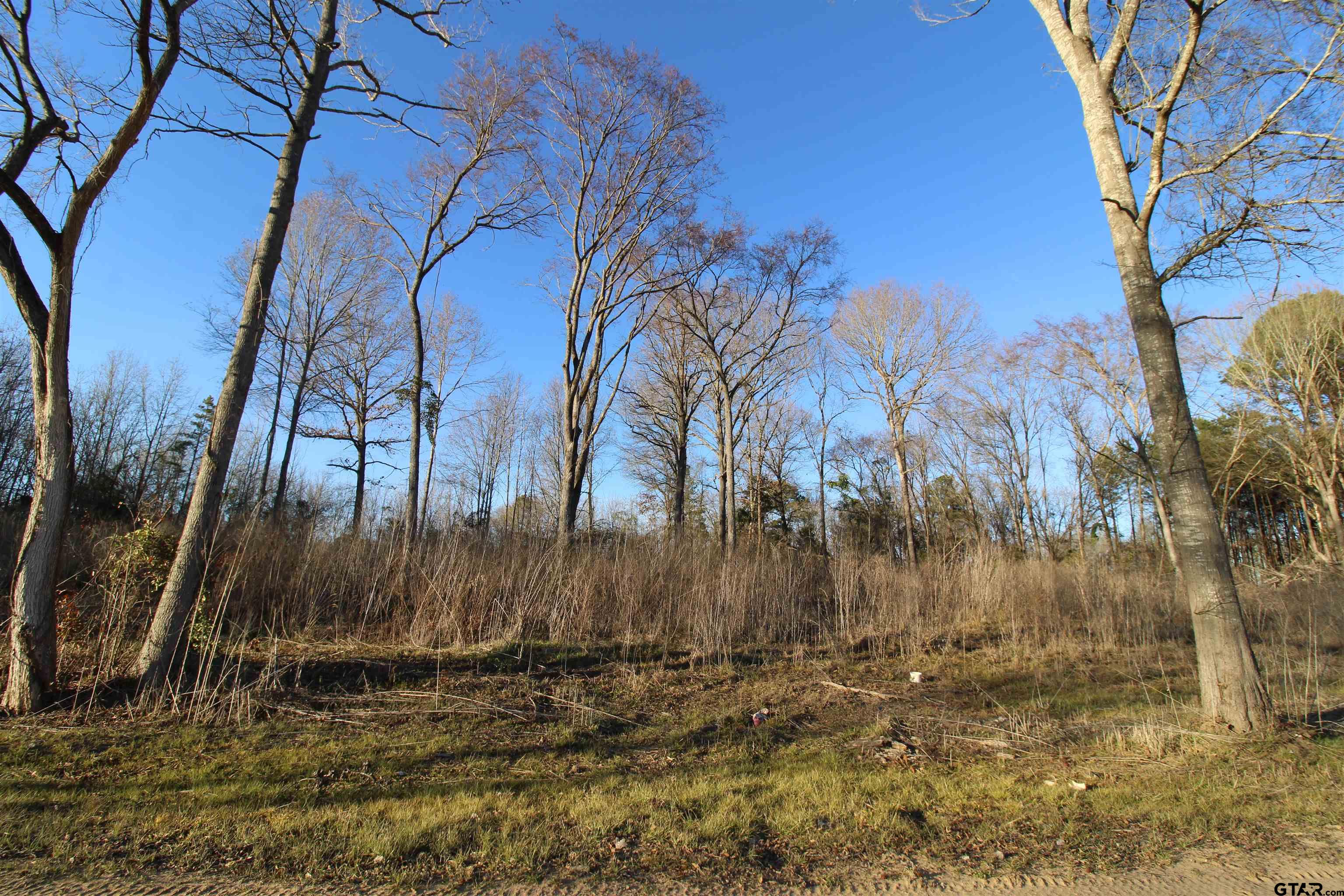 6642 County Road 488