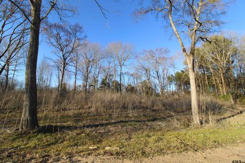 6642 County Road 488 Tyler TX 75706