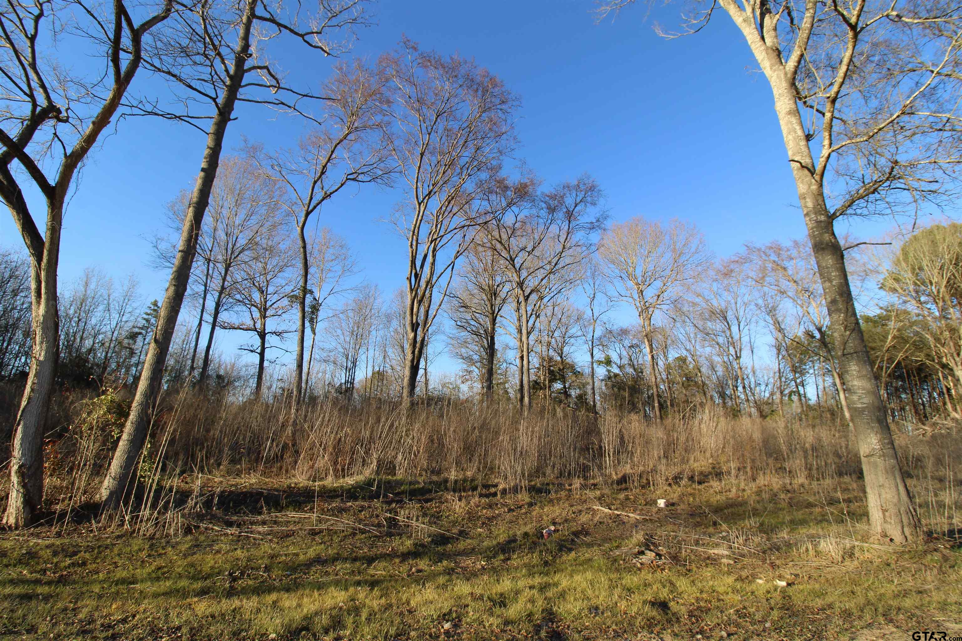 6642 County Road 488