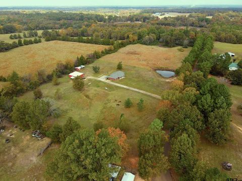 289 County Road 3360 Cookville TX 75558