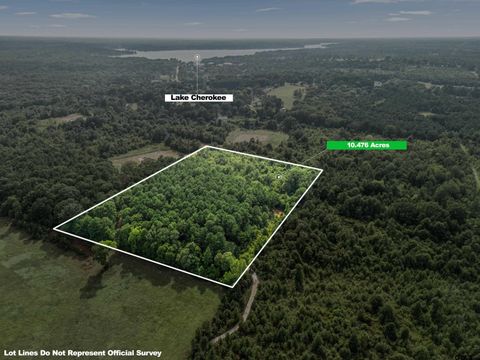 TBD County Road 2208 D Easton TX 75641