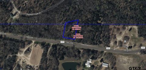 000 FM 2339 Murchison TX 75778