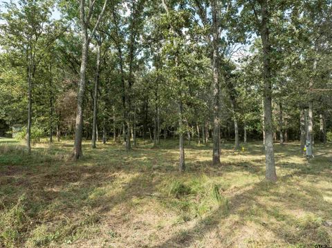 tbd Callender Lake Drive Murchison TX 75778