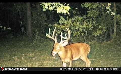 TBD Stag Rd Gilmer TX 75644