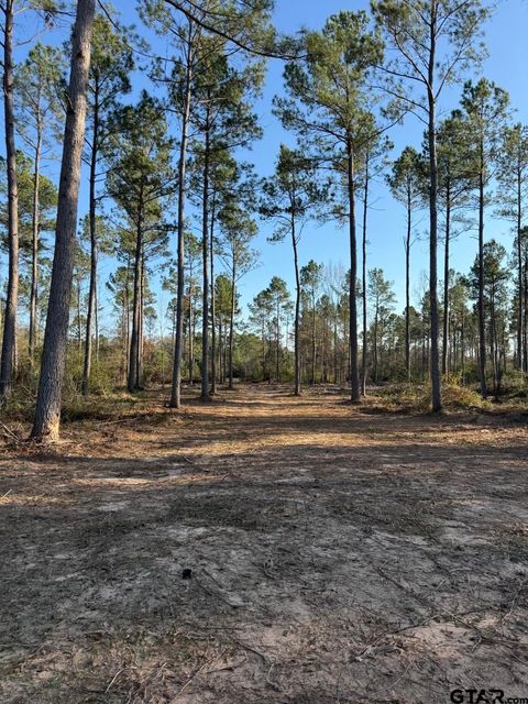 TBD-B County Road 216 Beckville TX 75631