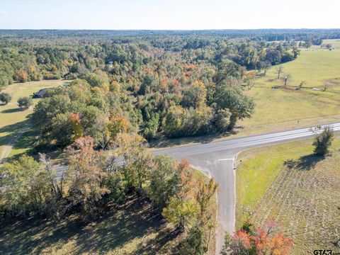 TBD State Highway 43 E Henderson TX 75652