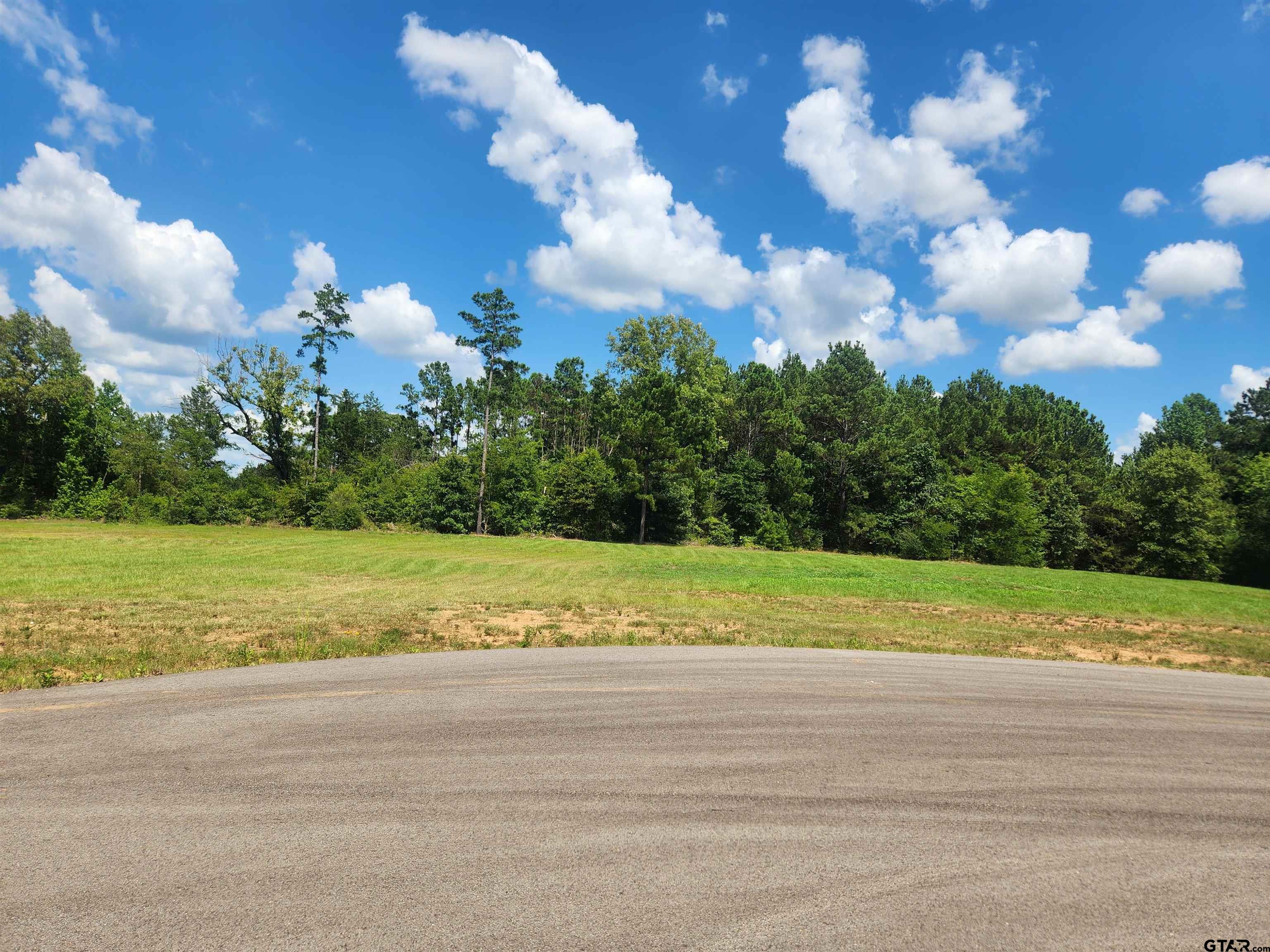 20047 Dews Ct Lot 6