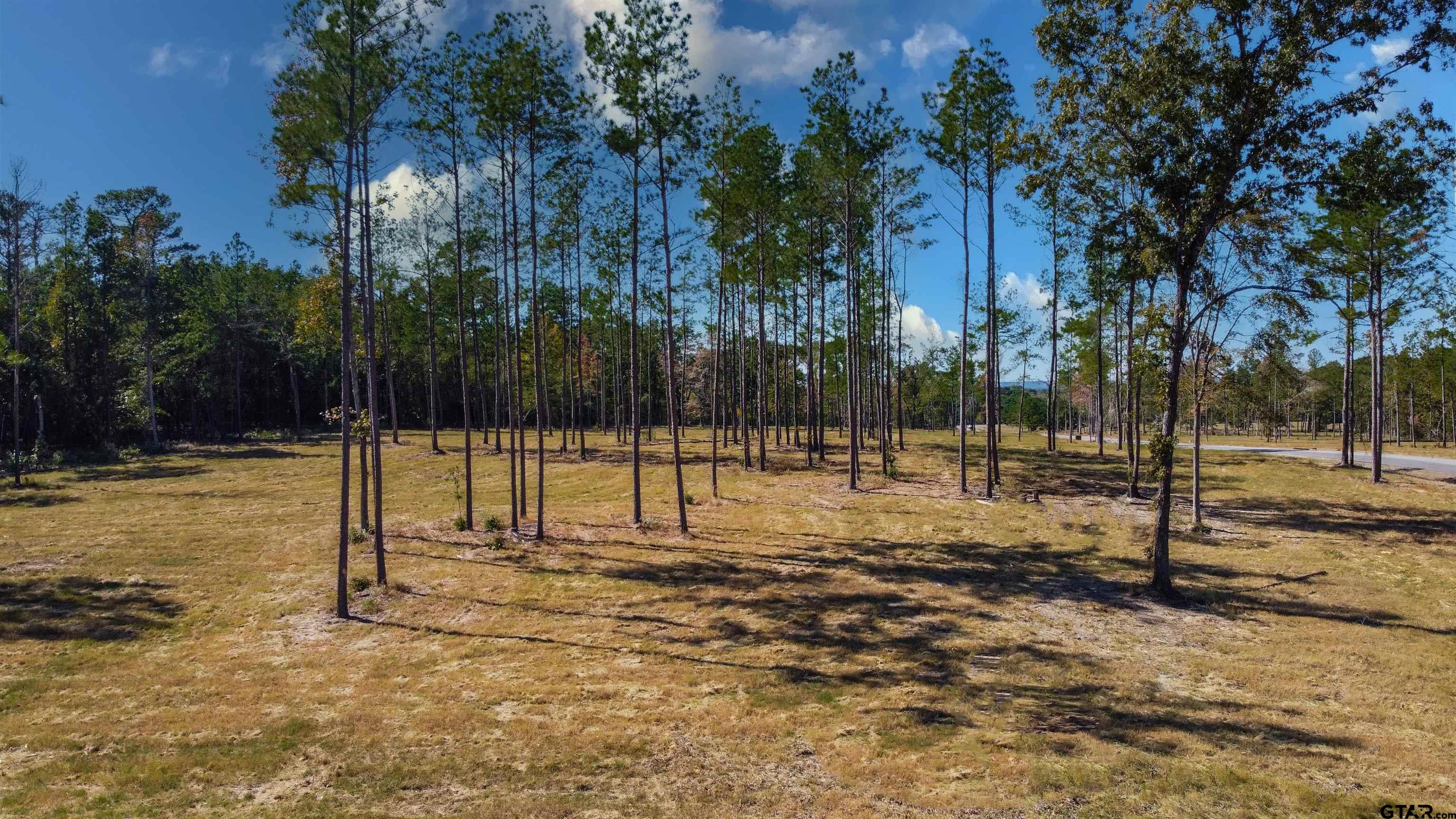 15537 Aniston Ln - (LOT 2)