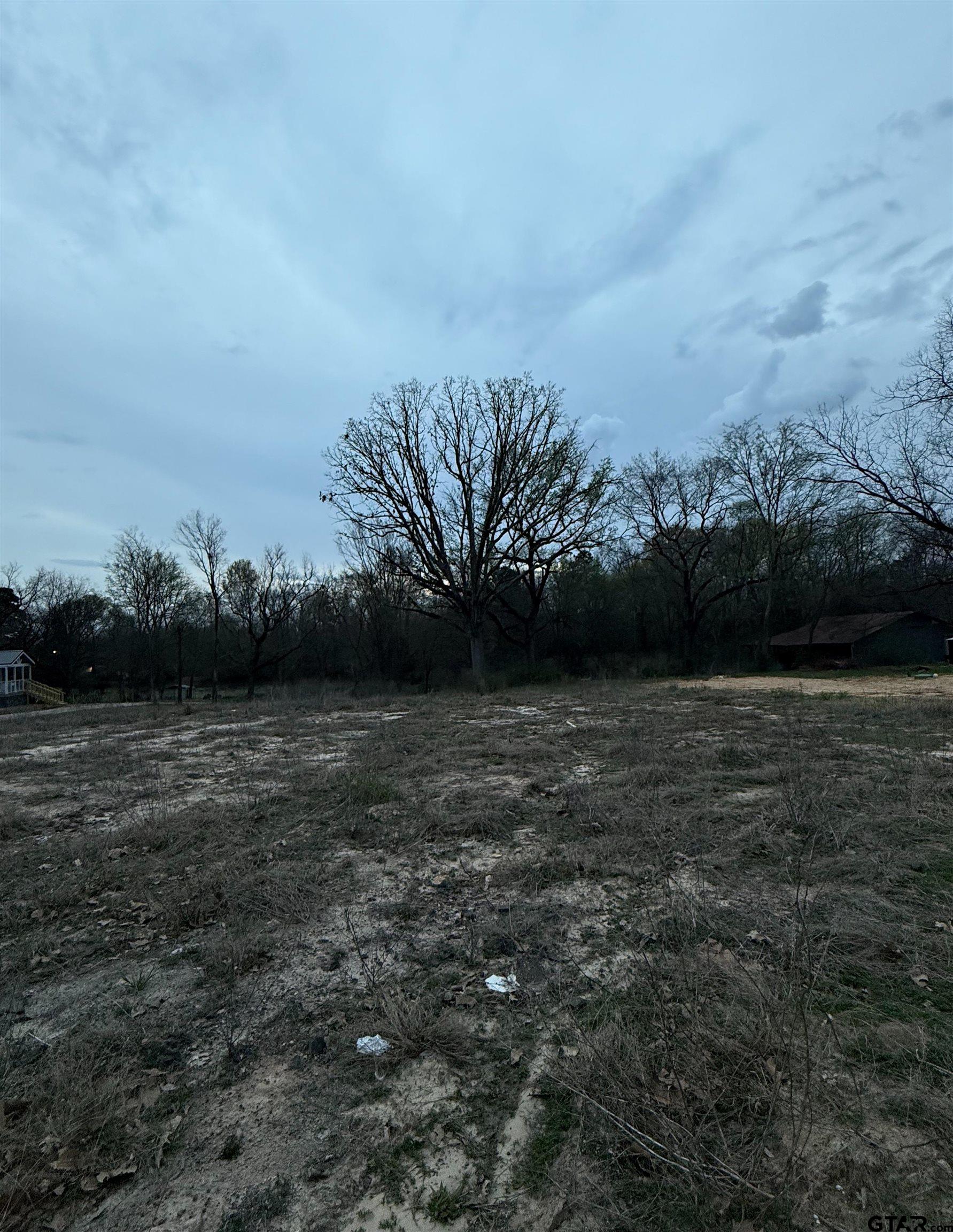 TBD HWY 80 E Southside