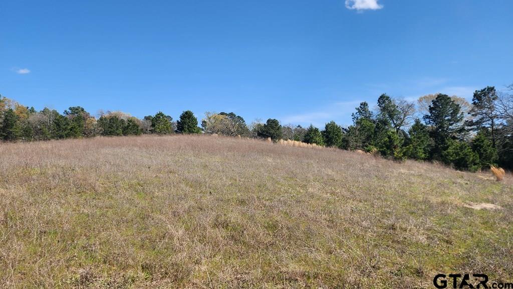 0 An County Road 441