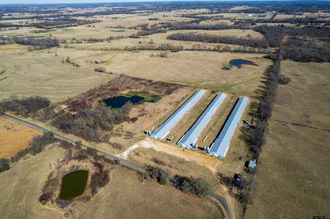 4227 SW CR 3010 Mt Vernon TX 75457