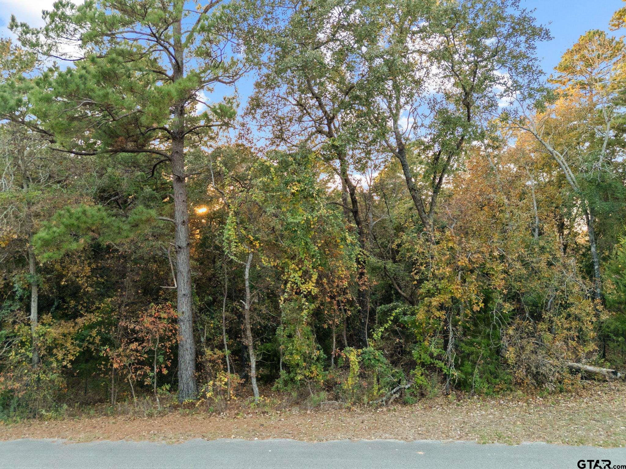 20745 Bay Shore Drive