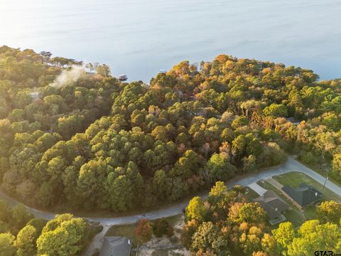 20745 Bay Shore Drive Flint TX 75762