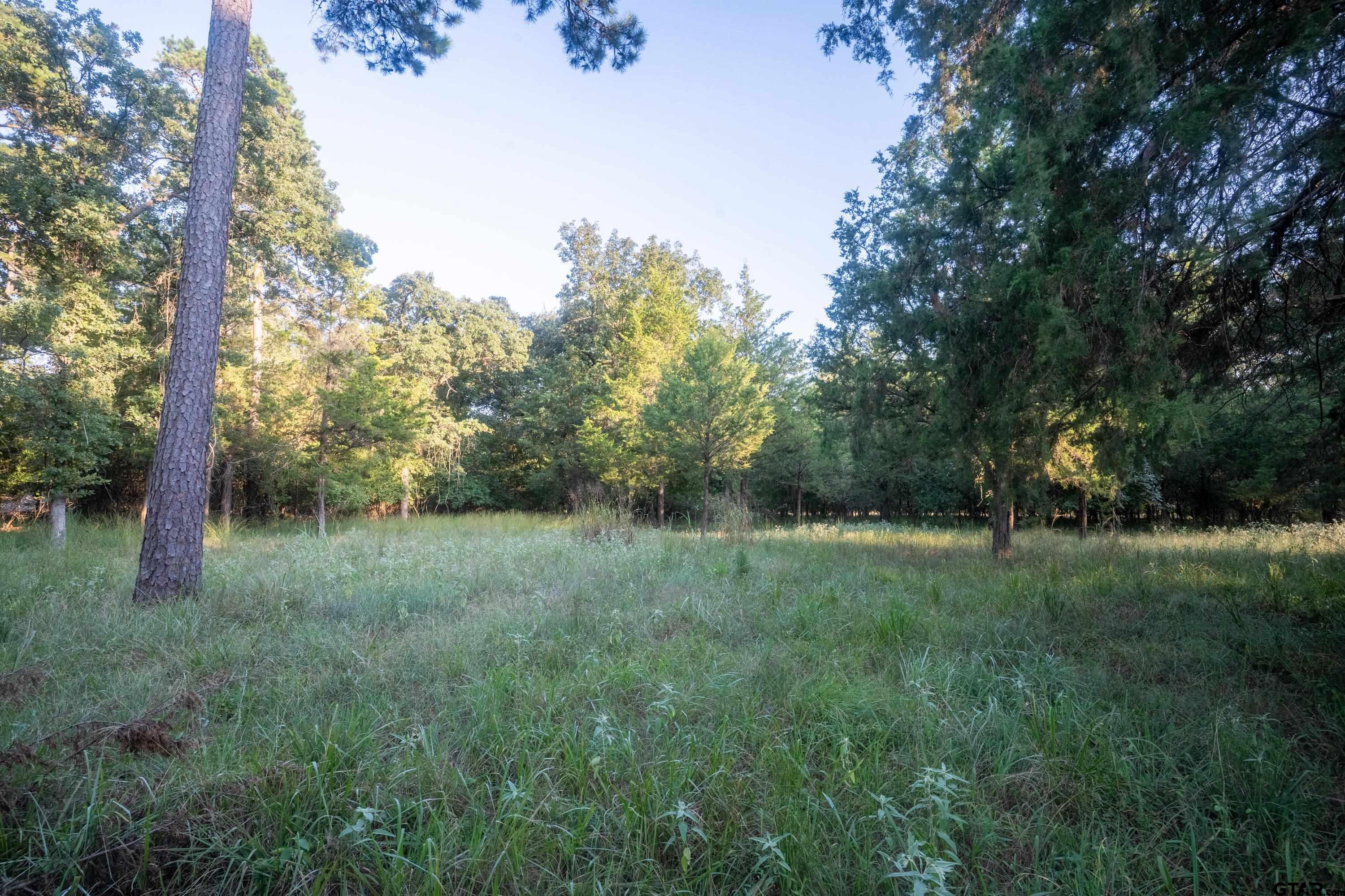 Lots 2,3,47,48 Kings Country Blvd