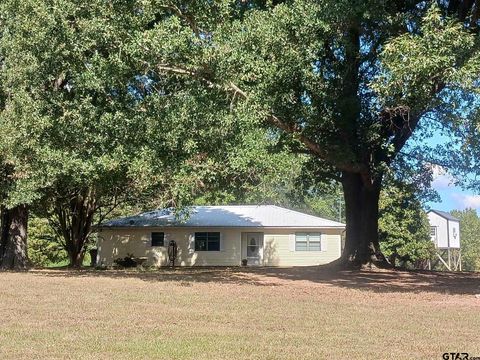 1542 NW CR 1018 Mt Vernon TX 75457