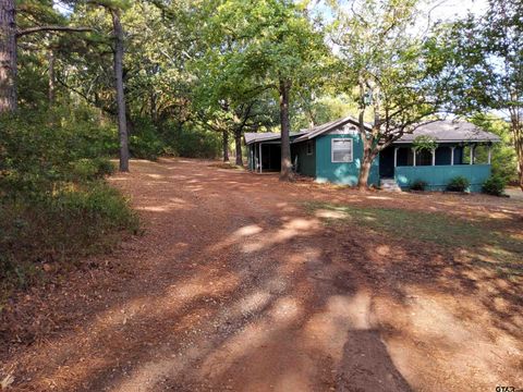 A home in Quitman