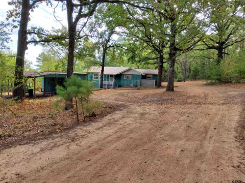 A home in Quitman