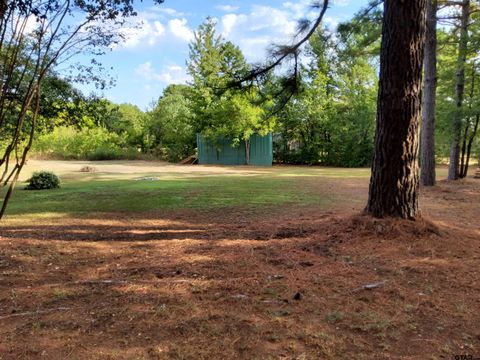 A home in Quitman