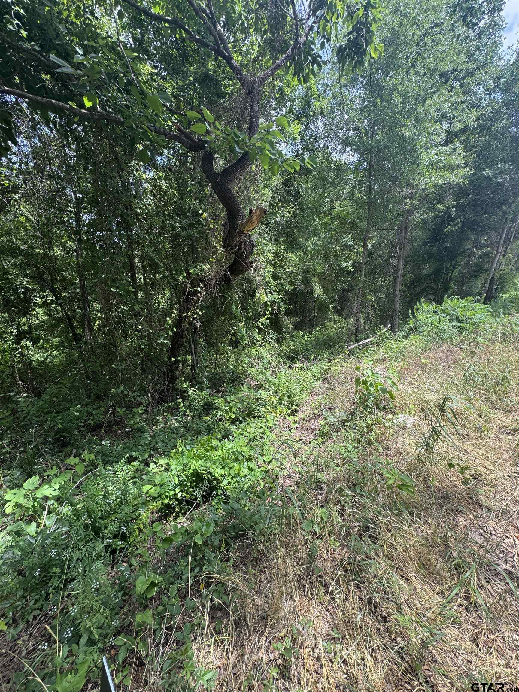 13898 County Road 1250