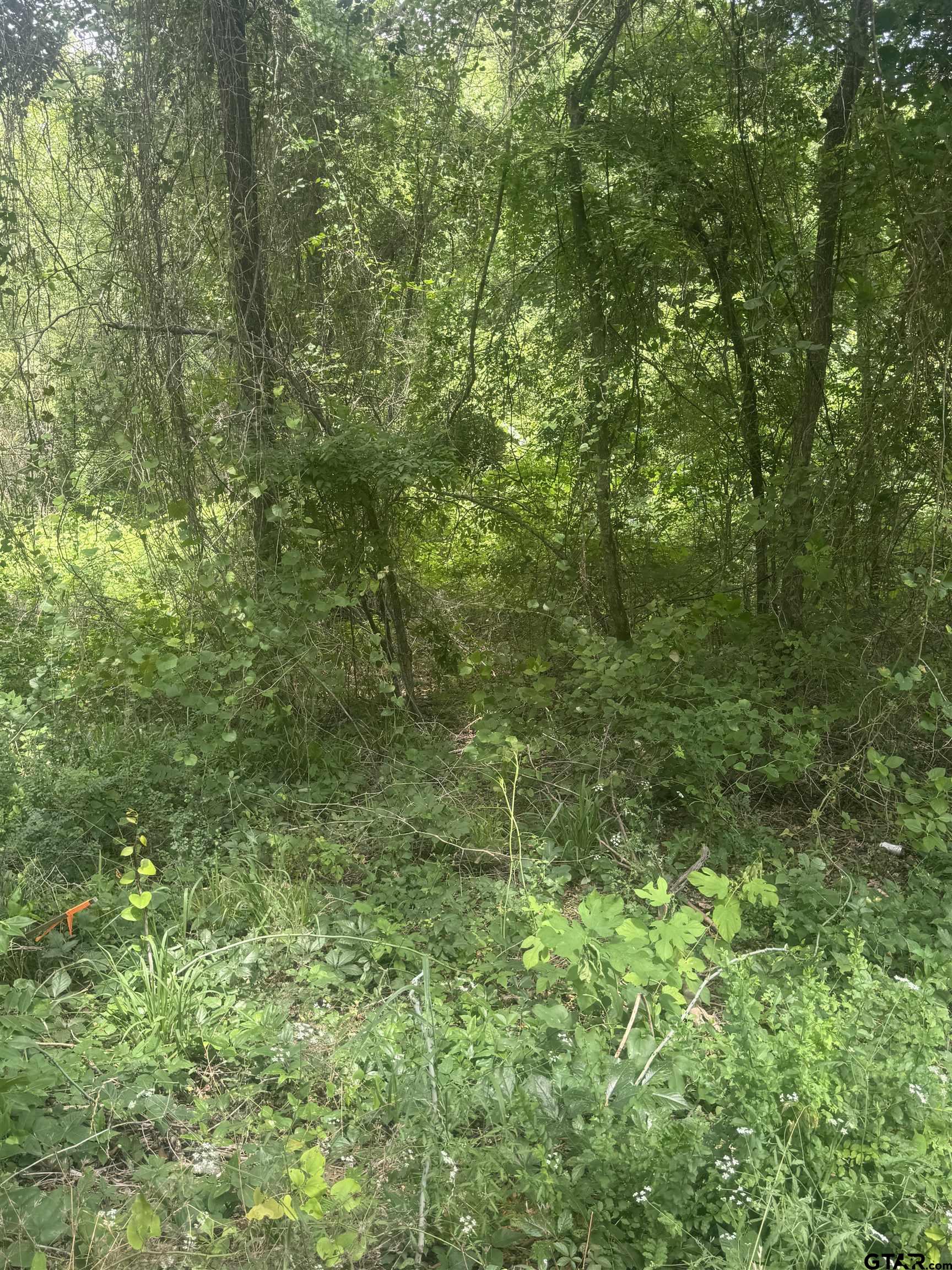 13898 County Road 1250