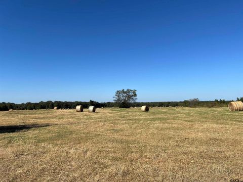 TBD SW CR 3010 Mt Vernon TX 75457