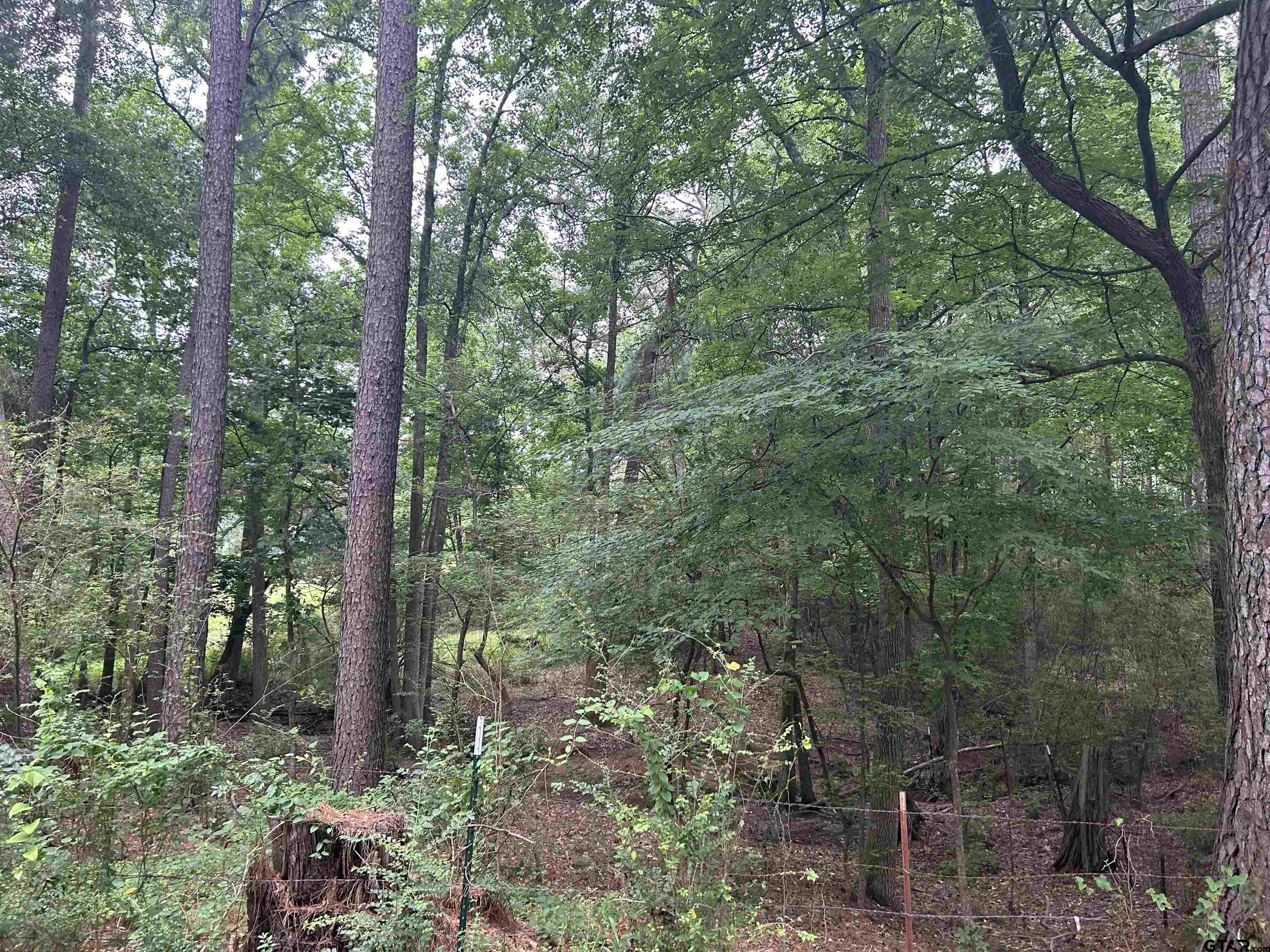 LOT 9 5+ ACRES FM 15