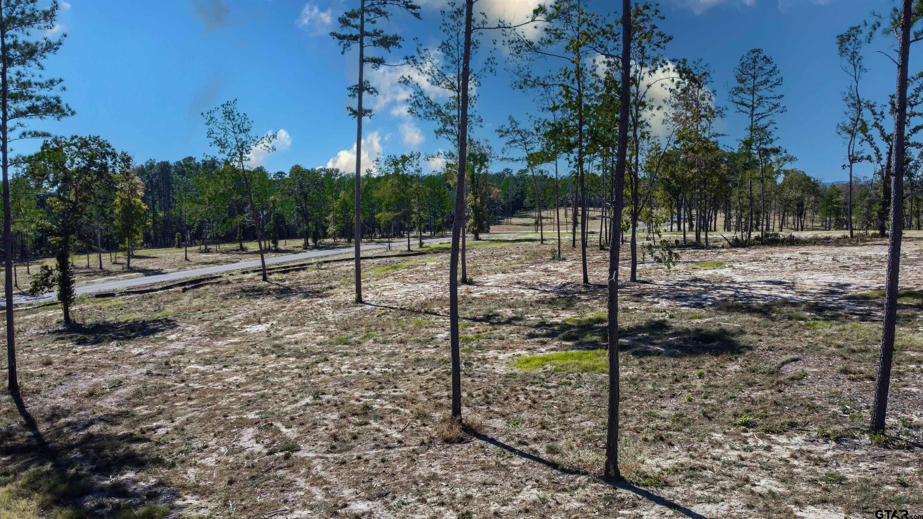 15538 Aniston Ln - (LOT 27)