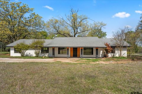 2087 CR 3320 Mt Pleasant TX 75455