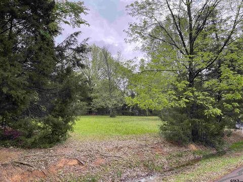 Lot 61, 72 Cypress Cr Mt Vernon TX 75457
