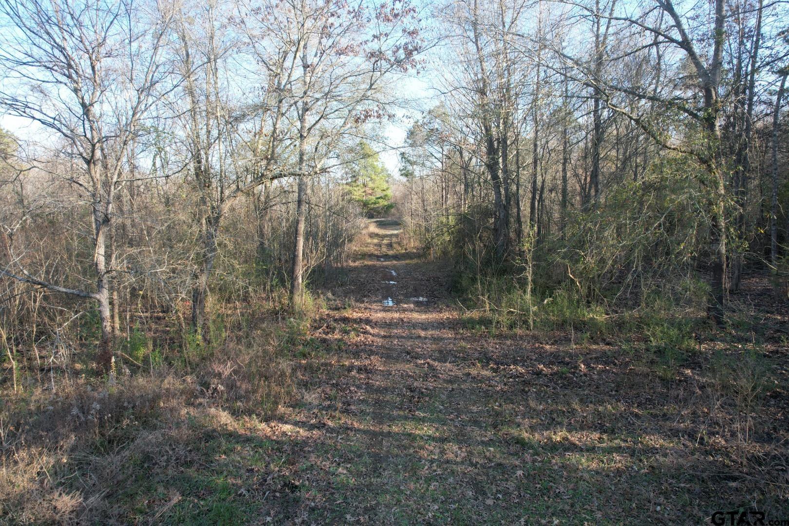 TBD Reeves Rd