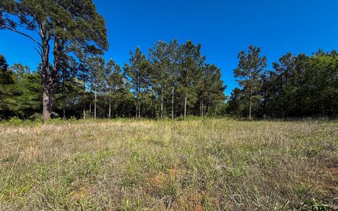 1329 CR 2112 Rusk TX 75785