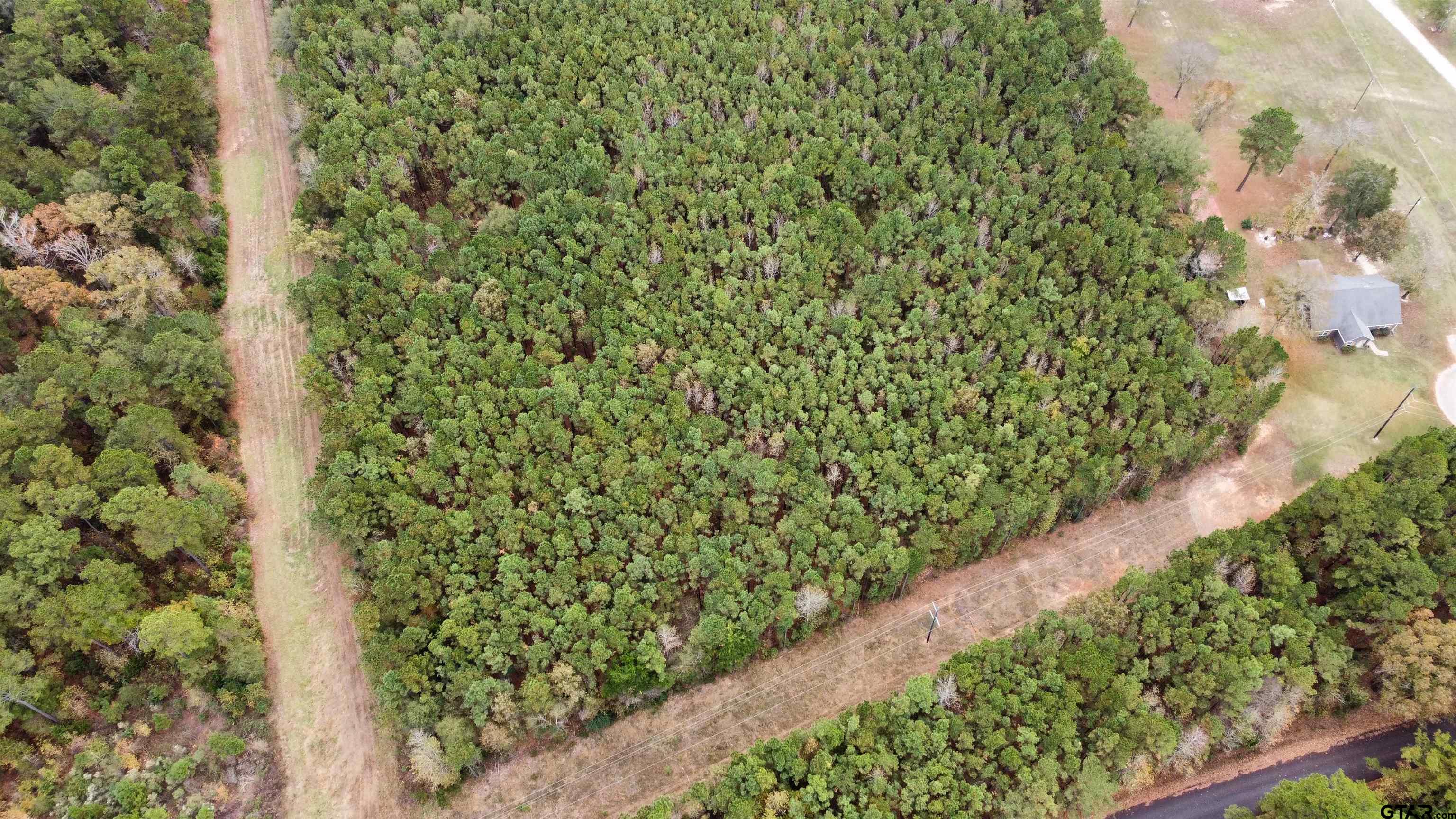 21521 County Road 2160